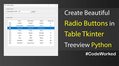 Tkinter Radio Button Grid Example