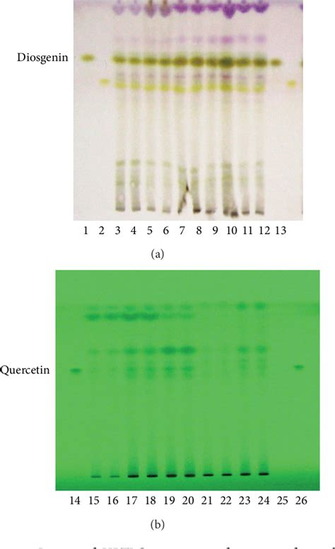 Tlc Analysis Of Diosgenin