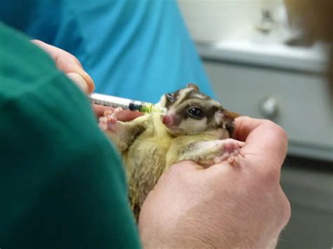 Tlc Programm Dr Jeff