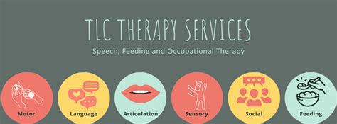 Tlc Therapy Services