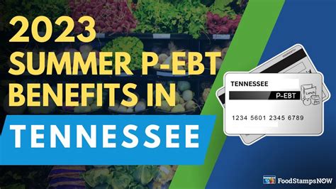 Tennessee Summer EBT Benefits: Eligibility and Application Guide