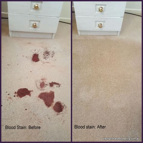 home.furnitureanddecorny.com:to leave blood on the carpet meaning