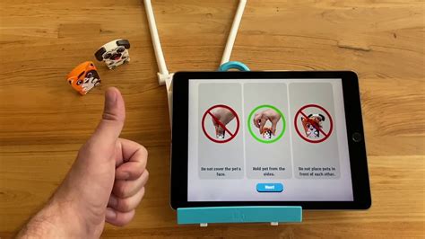 Toaster Pets Troubleshooting