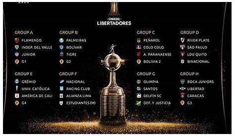 Todas las Copas Libertadores que ganó River