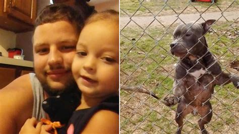 toddler killed by family dog