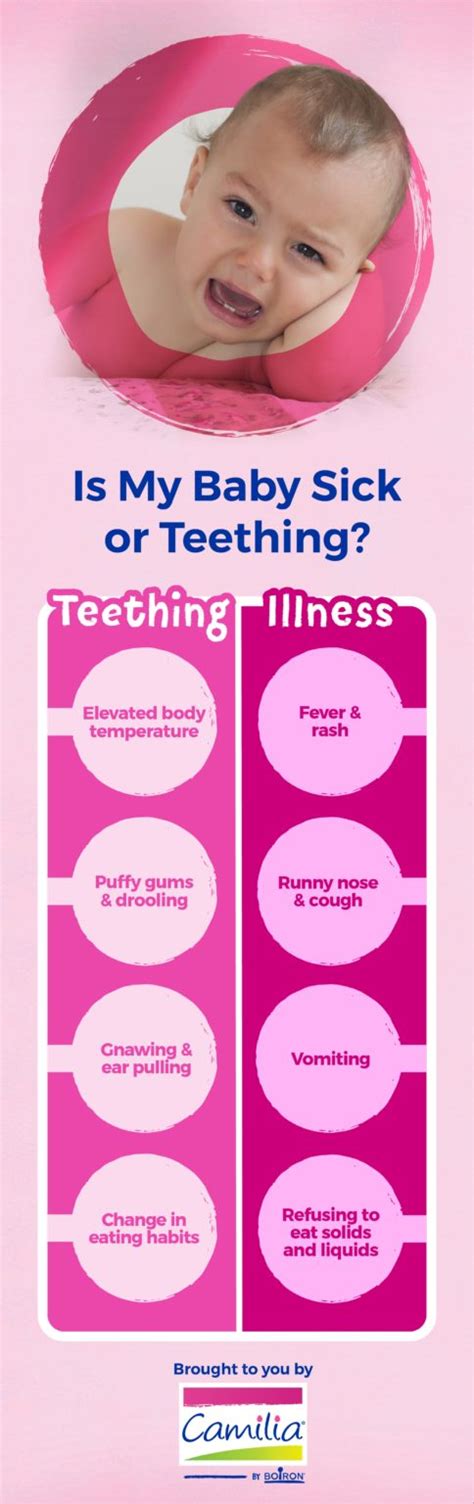 Toddler Teething Cold Symptoms