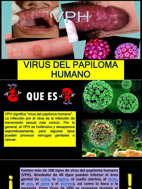 todo sobre el hpv