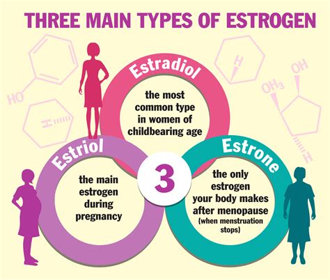 Tofu Causes Estrogen