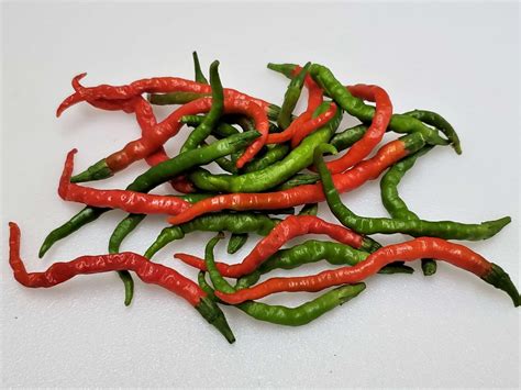 togarashi peppers images