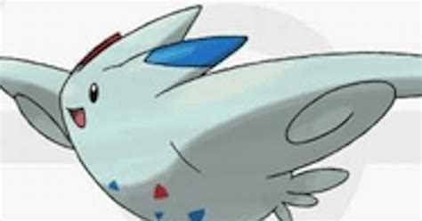 togekiss build