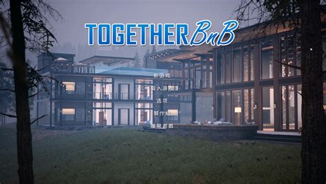 together bnb v345