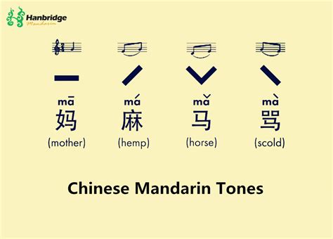 toggle meaning in chinese