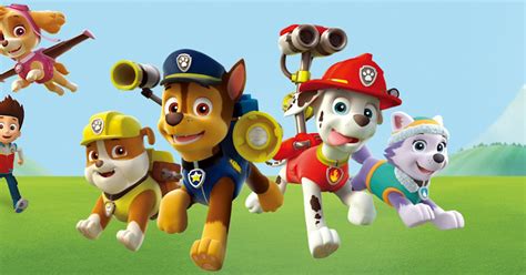 toggo de paw patrol