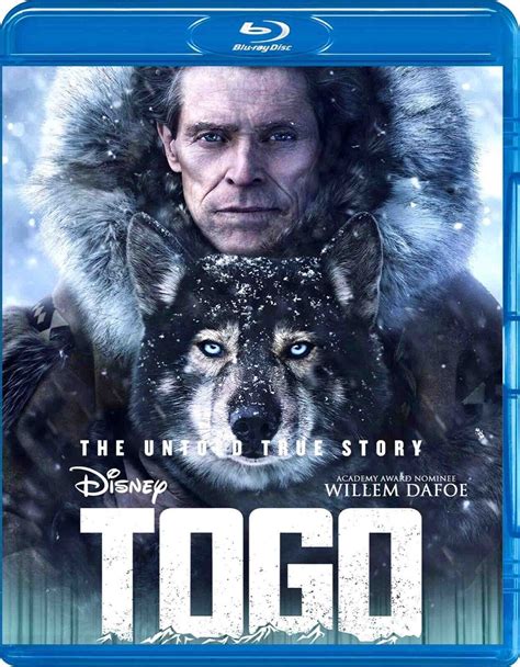 togo dvd movie 2019 with william defoe