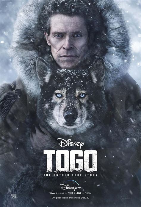togo movie dvd release date