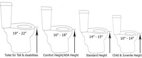 Toilet Heights Explained
