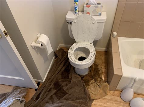 Toilet Overflowed What Causes & How to Clean Up