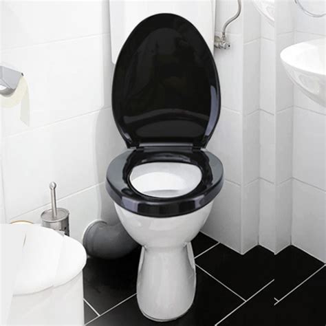 Toilets With Black Handles