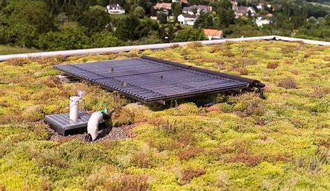 Un système qui combine photovoltaïque, toiture végétalisée