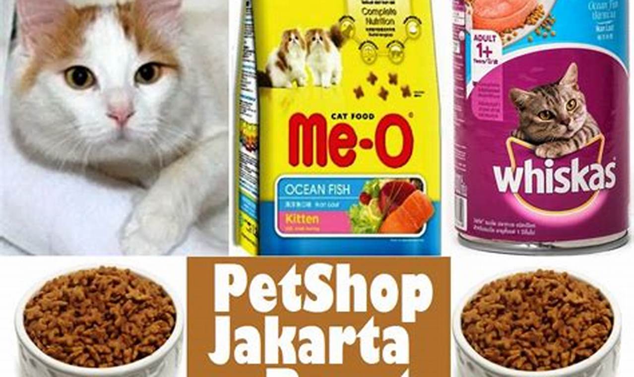 Temukan Toko Makanan Kucing Terdekat untuk Kucing Kesayangan Anda