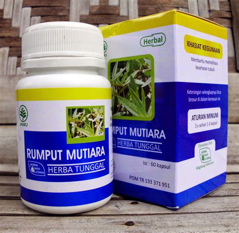 toko obat herbal mutiara herbal kabupaten sidoarjo jawa timur