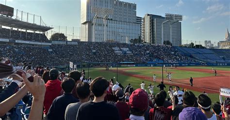 tokyo baseball experience