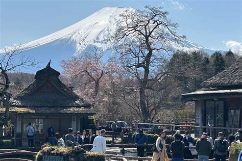 Shuttle Van Tour Tokyo: A 4 or 6 Hour Ride Review