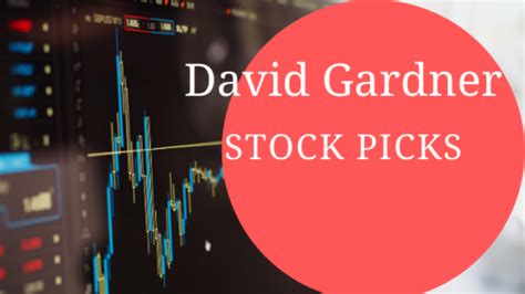 tom and david gardner stock picks