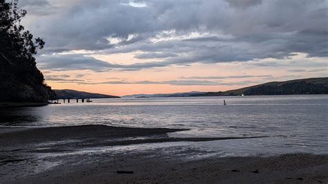 Tomales Bay Foundation