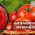 tomato sauce recipe in hindi
