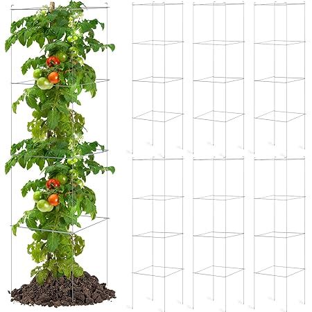 Tomato Cages Bulk