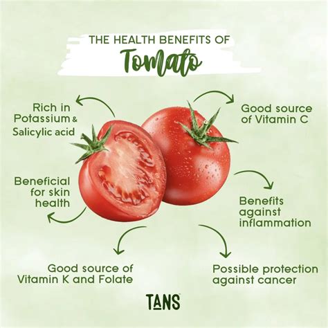 Tomato Fruit Vitamins