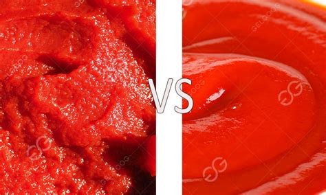Tomato Paste Ketchup Difference