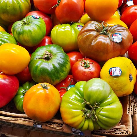 Tomatoes Definition And Origin