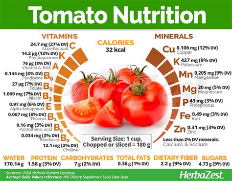 Tomatoes Fiber Content