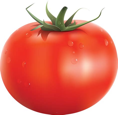 Clear and Crisp: Discover the Delightful World of Tomatoes with Transparent Backgrounds!