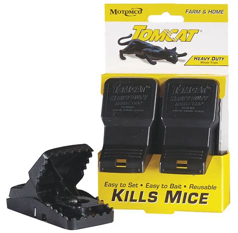 tomcat mouse traps youtube