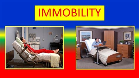 tonic immobility definition