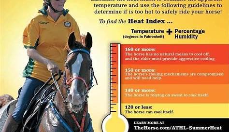 Too Hot To Ride Horse Chart
