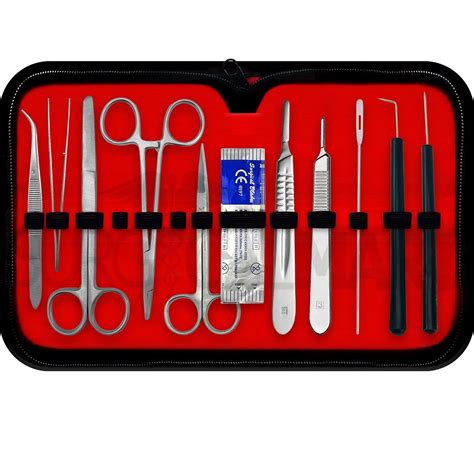 Tools In Dissection Kit