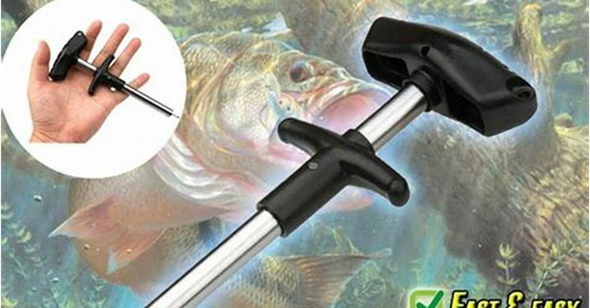 Tools Needed for Fish Hook Removal