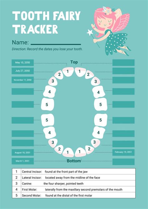 Tooth Fairy Printable Pdf