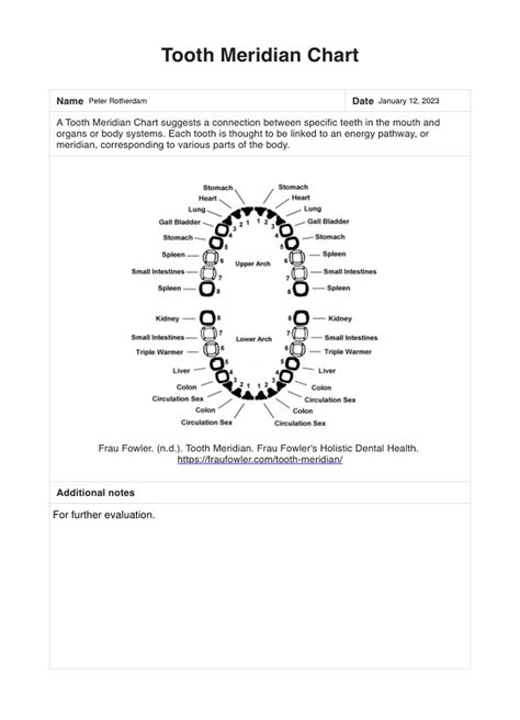 Tooth Meridian Chart Pdf