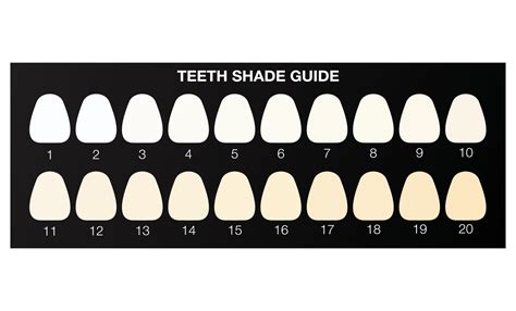 Tooth Shade Color Chart