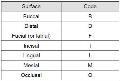 Tooth Surfaces Code