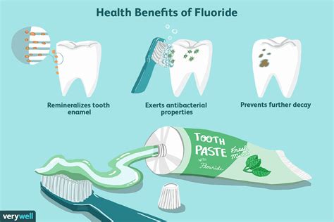 Toothpaste Fluoride Purpose