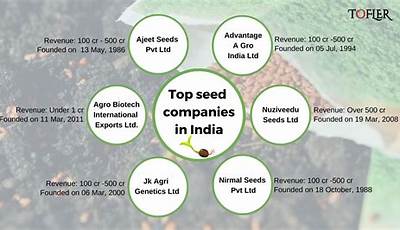 Top 5 Vegetable Seeds Companies In India