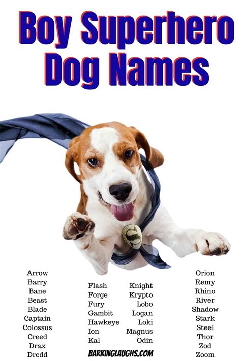 Top 10 Boy Dog Names