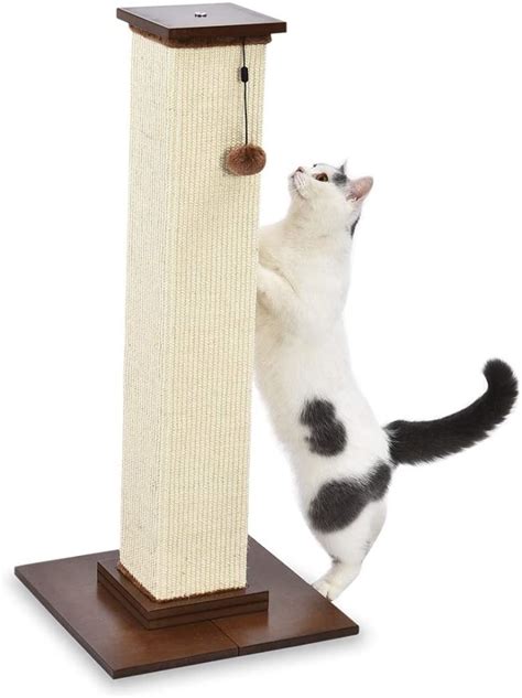 Top 10 Cat Scratching Post
