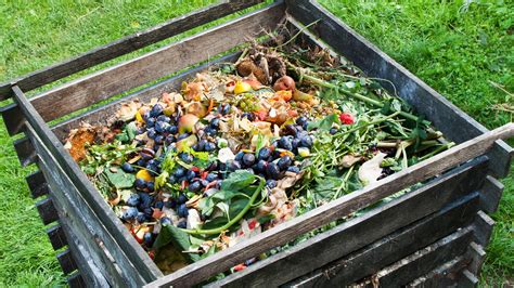 Top 10 Compost Pile